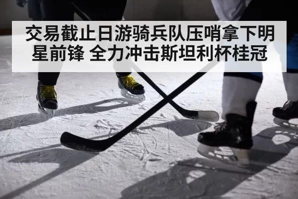 交易截止日游骑兵队压哨拿下明星前锋 全力冲击斯坦利杯桂冠