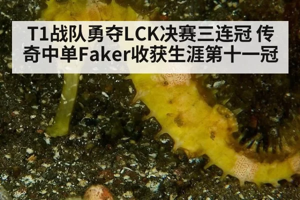 T1战队勇夺LCK决赛三连冠 传奇中单Faker收获生涯第十一冠